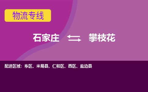 石家庄到攀枝花物流公司-石家庄发货到攀枝花物流专线